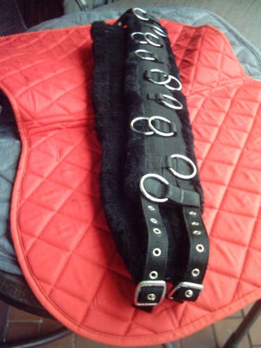 Longiergurt mit ringen aus - longiergurt,