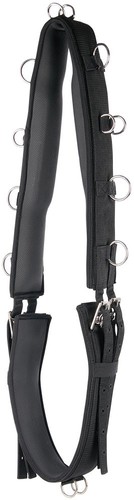 Harrys horse longiergurt - harrys,