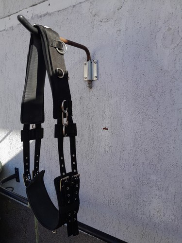 Longiergurt kleinpferd - ,