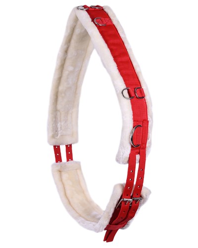 Qhp longiergurt ontario - longiergurt,