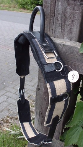 Longiergurt reithilfe mit - /reithilfe,