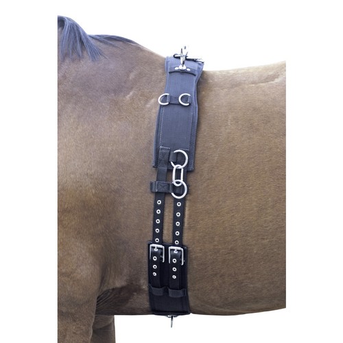 Longiergurt nylon schwarz - longiergurt,