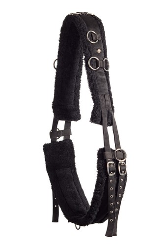 Crownclub longiergurt schwarz - crownclub,