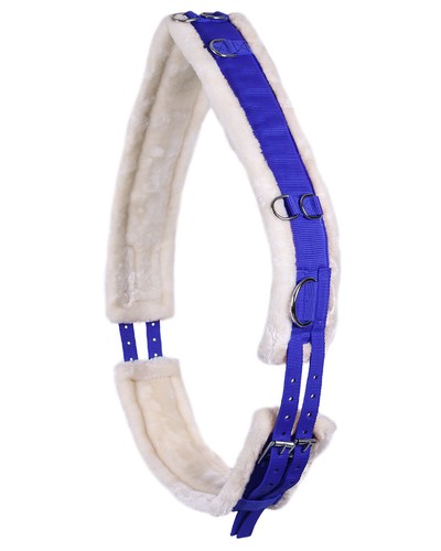 Qhp longiergurt ontario - qhp,