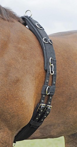 Busse longiergurt profi soft - longiergurt, profi-soft
