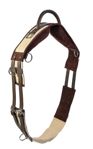 Busse longiergurt mit - longiergurt,