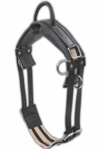 Longiergurt reitgurt soft - longiergurt,