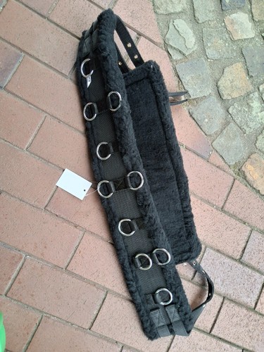 Longiergurt mit ringen aus - 12,
