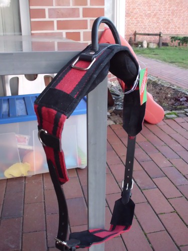 Longiergurt reithilfe mit - /reithilfe,