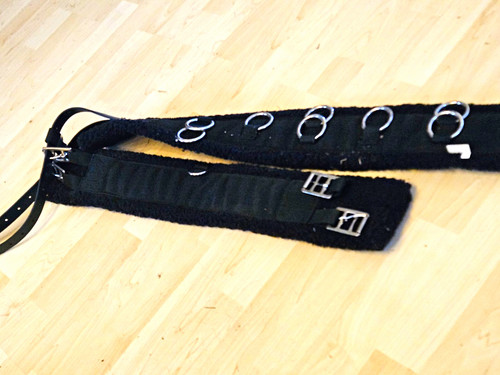 Schwarzer longiergurt mit - schwarzer,